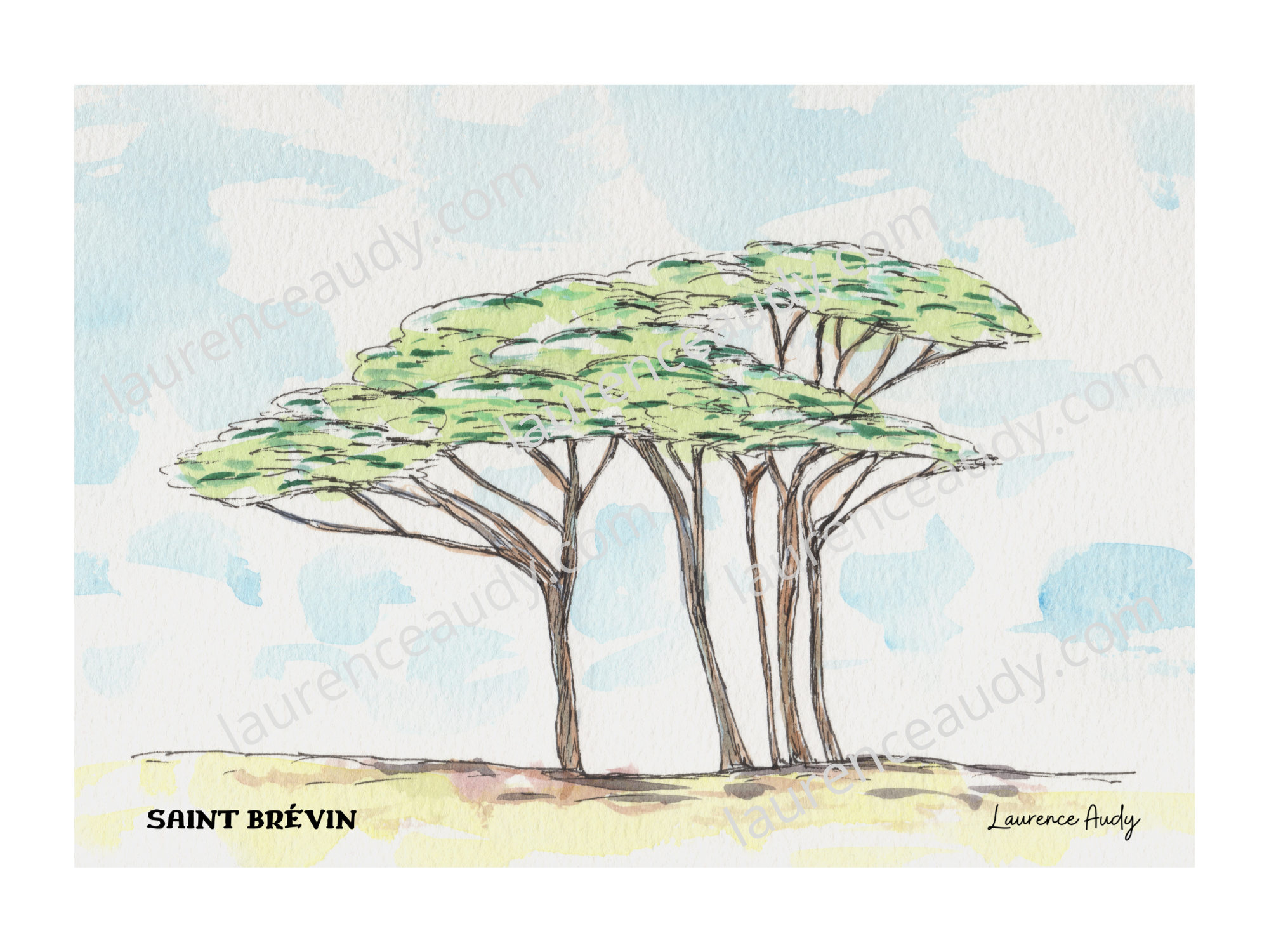 44-ST BREVIN-PIN PARASOL-AQUARELLE FILIGRANE
