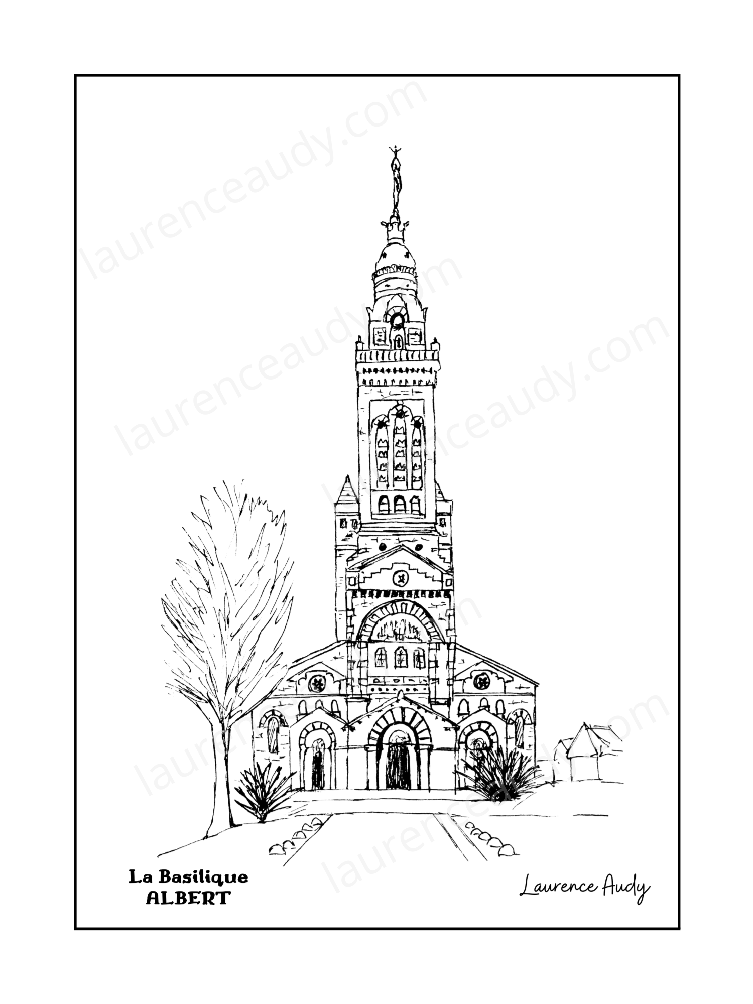80-ALBERT-BASILIQUE-N&B FILIGRANE
