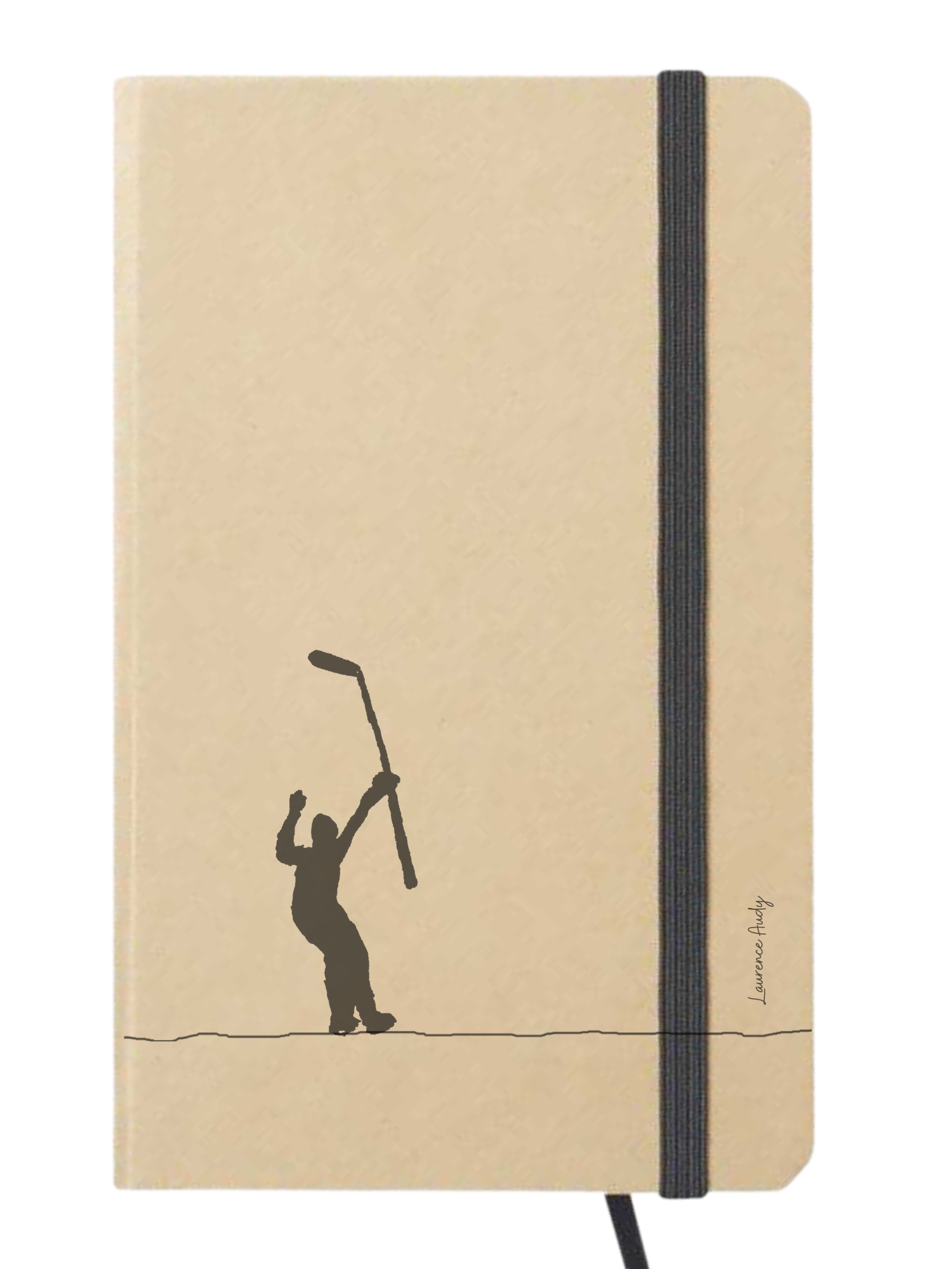 Carnet_cartonne_laurence_audy_hockey_03