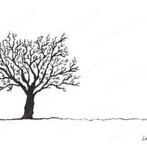 carte_postale_arbre_01_laurence_audy|||||||||||||||