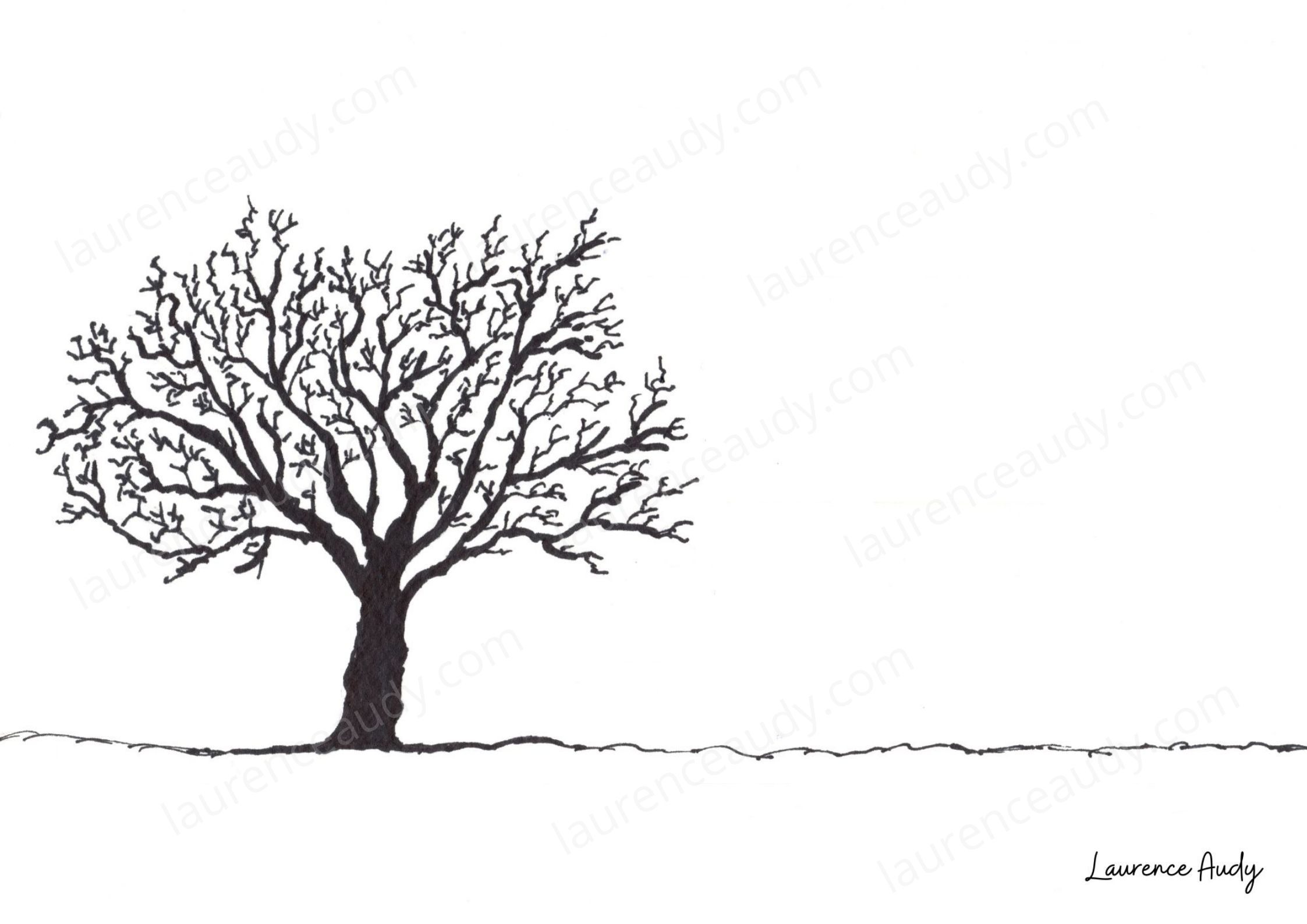 carte_postale_arbre_01_laurence_audy|||||||||||||||