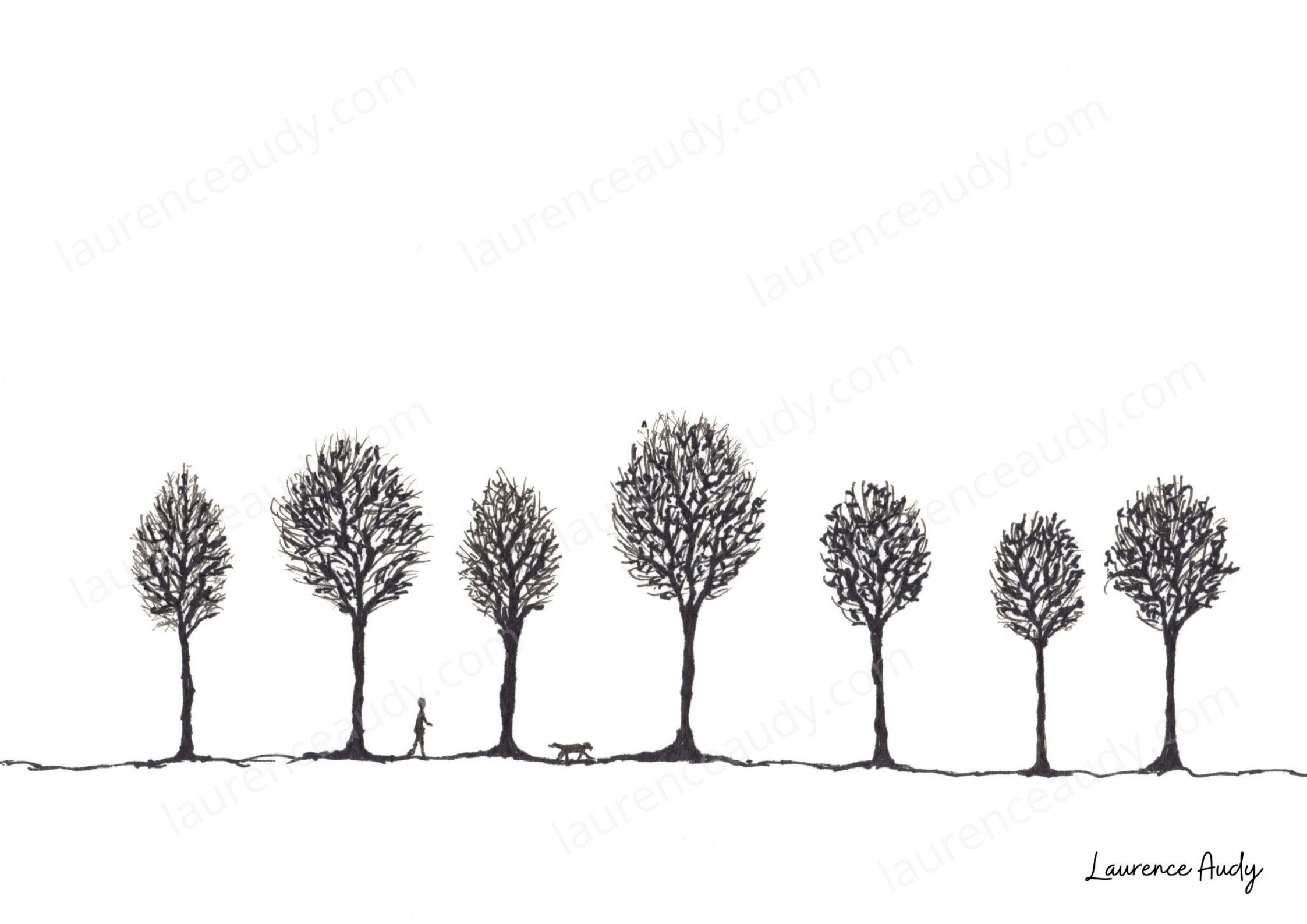 carte_postale_arbre_02_laurence_audy|||||||||||||||