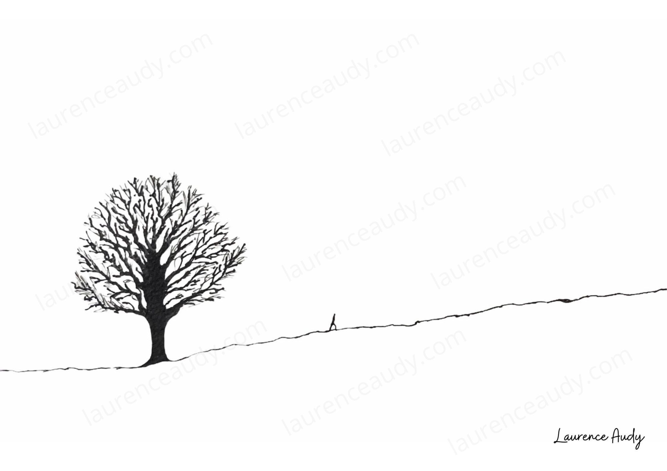 carte_postale_arbre_04_laurence_audy|||||||||||||||