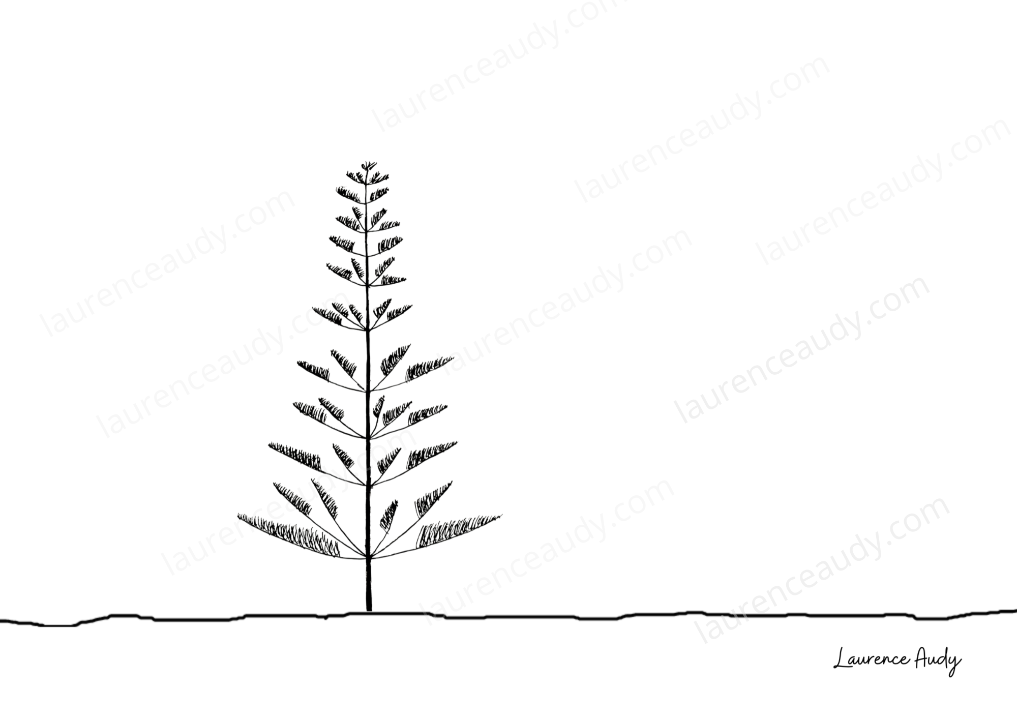 carte_postale_arbre_08_laurence_audy|||||||||||||||