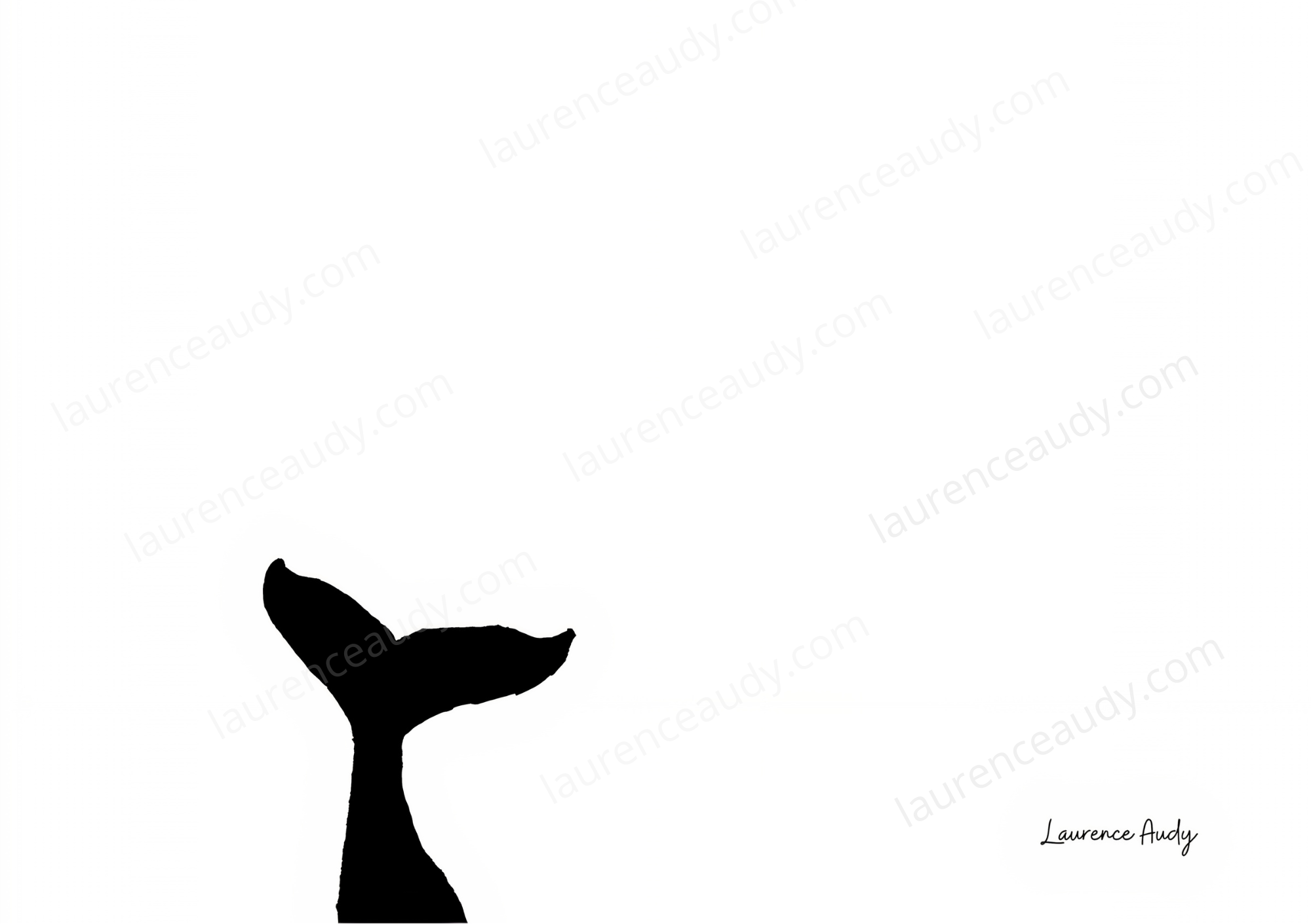 carte_postale_baleine_01_laurence_audy|||||||||||||||