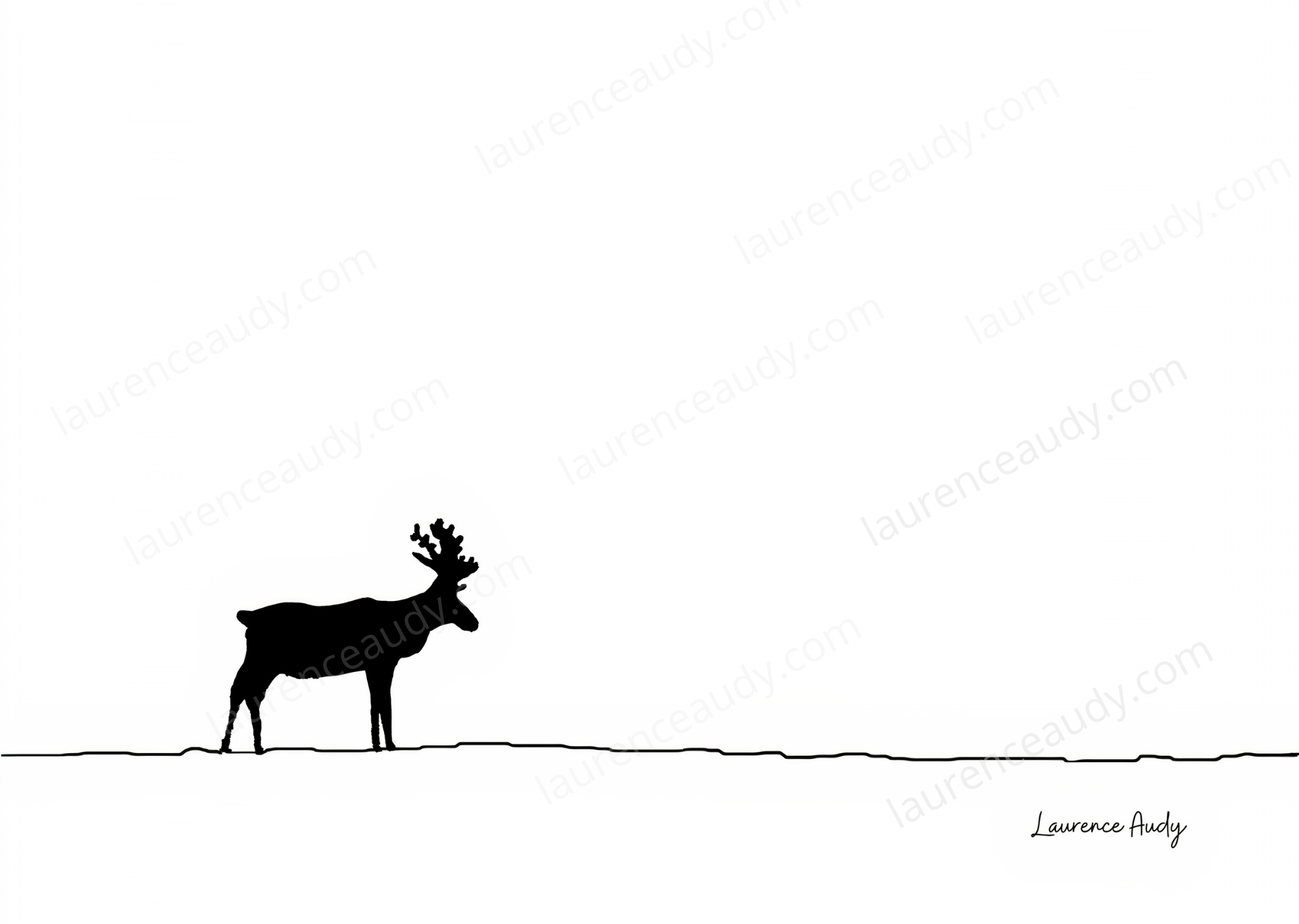 carte_postale_caribou_01_laurence_audy|||||||||||||||