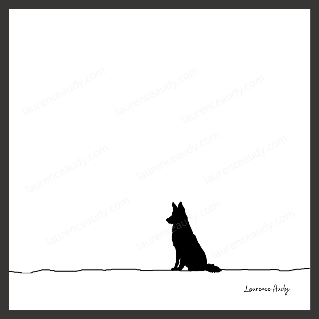 N&B-CHIEN-BERGER-ALLEMAND-01 CARRE filigrane cadre noir