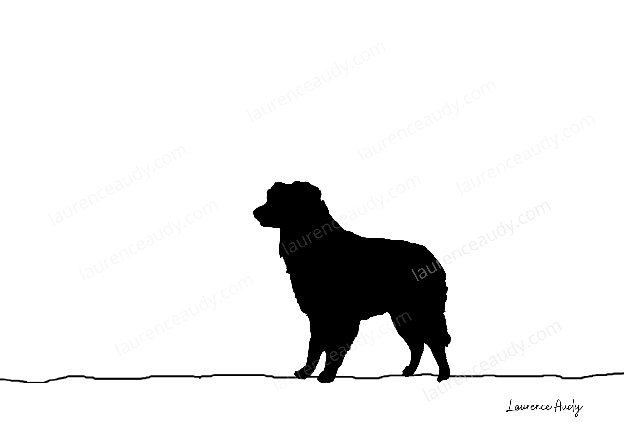 Affiche chien Berger Australien 01 – Image 3
