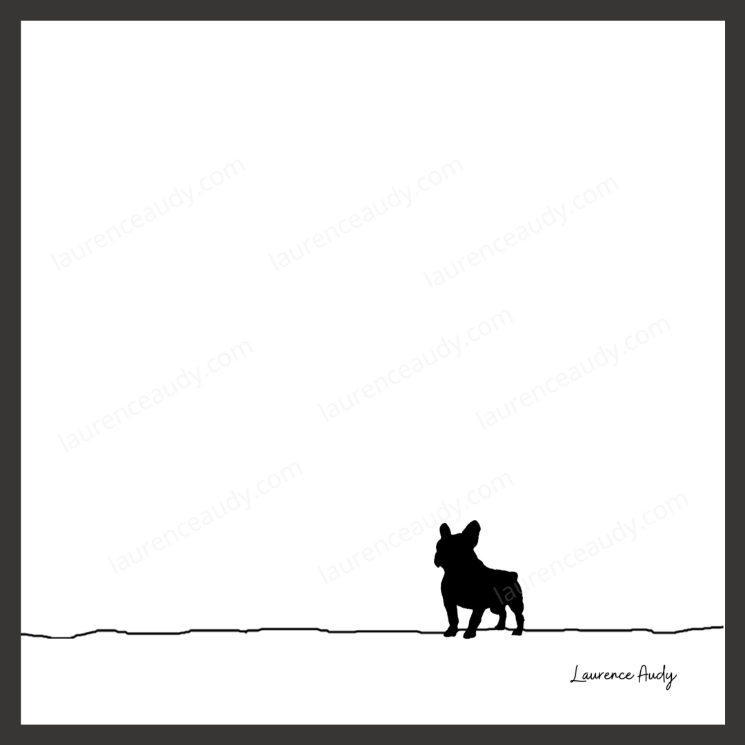 N&B-CHIEN-BOULEDOGUE-FRANCAIS-01 CARRE filigrane cadre noir