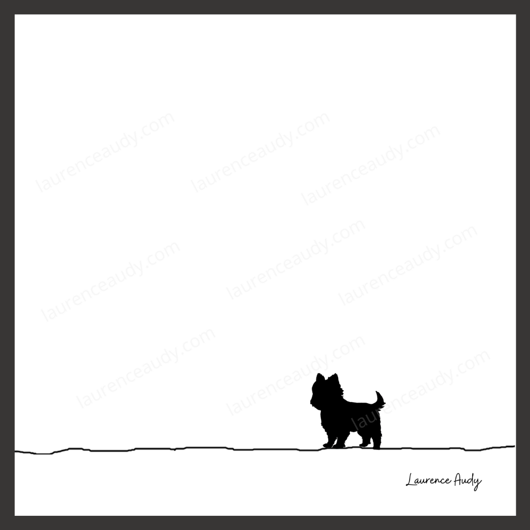 N&B-CHIEN-CAIRN-TERRIER-01 CARRE filigrane cadre noir