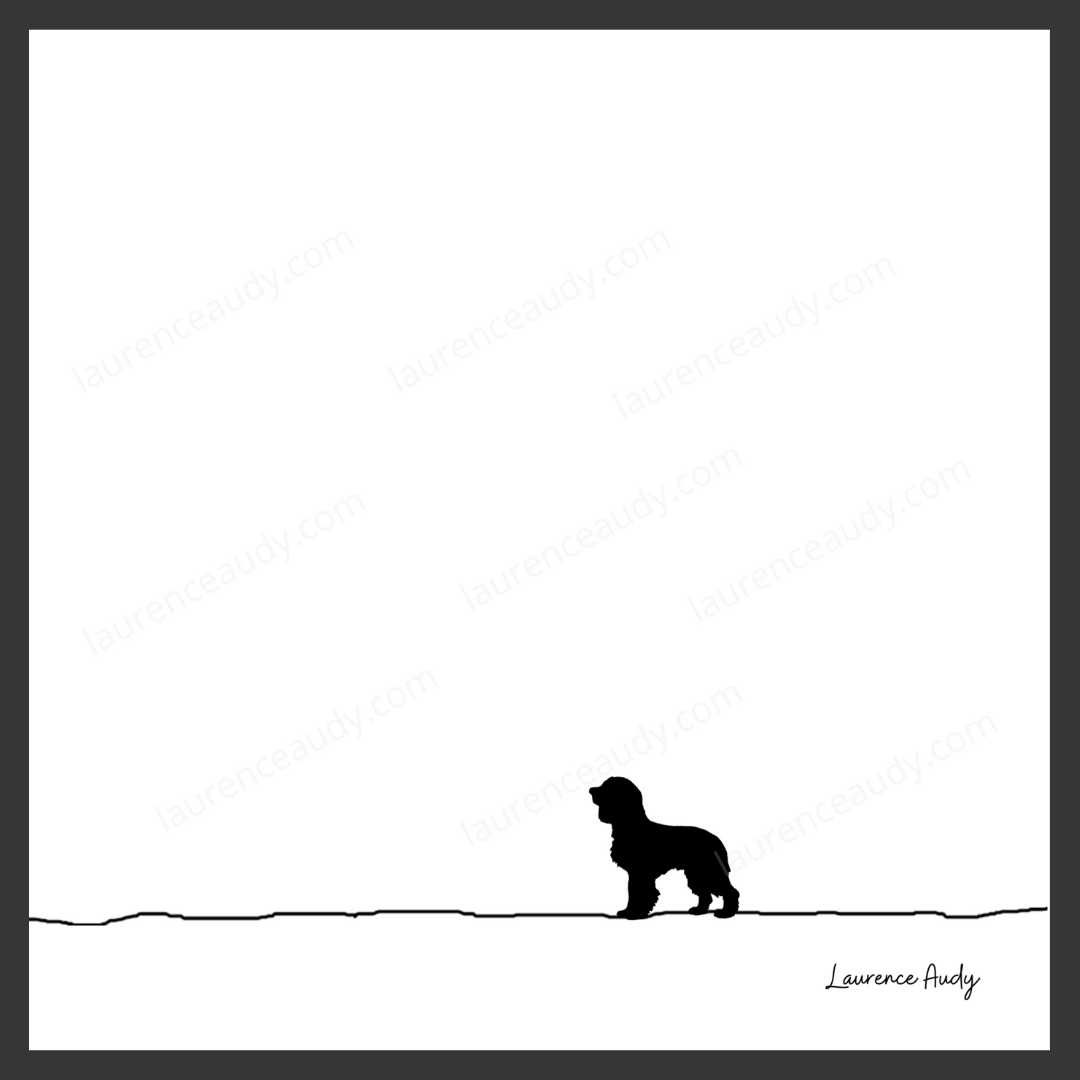 N&B-CHIEN-CAVALIER-KING-01 CARRE filigrane cadre noir