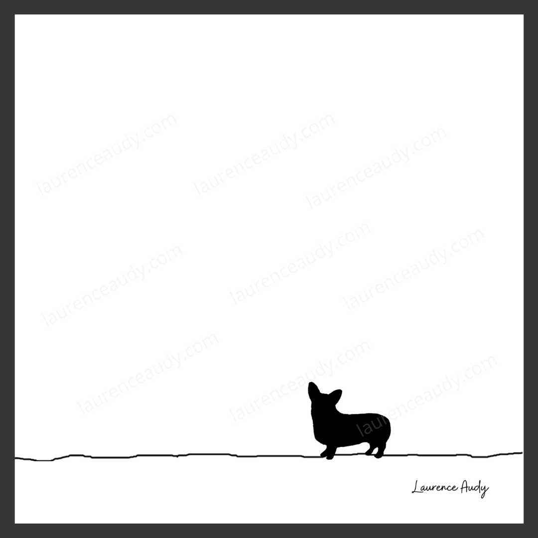 N&B-CHIEN-CORGI-01 CARRE filigrane cadre noir