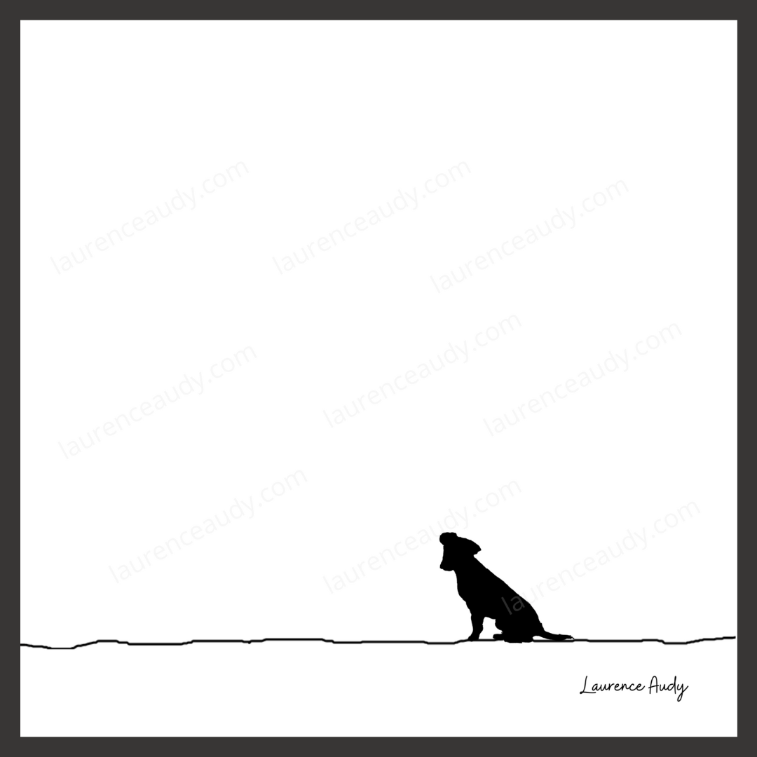 N&B-CHIEN-JACK-RUSSEL-01 CARRE filigrane cadre noir