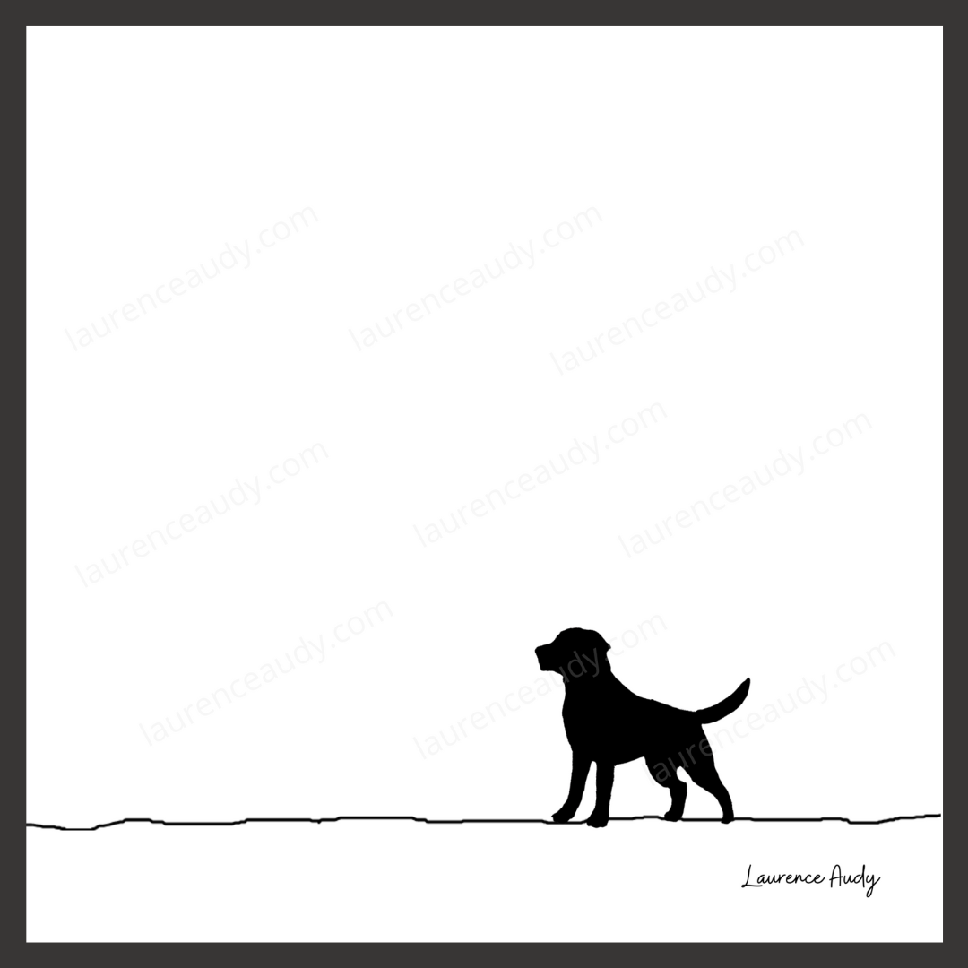 N&B-CHIEN-LABRADOR-01 CARRE filigrane cadre noir