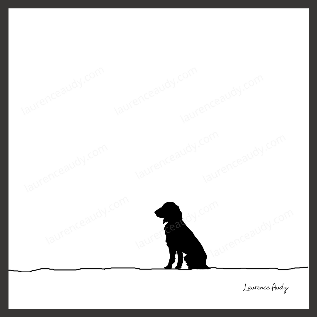 N&B-CHIEN-SETTER-ANGLAIS-01 CARRE filigrane cadre noir