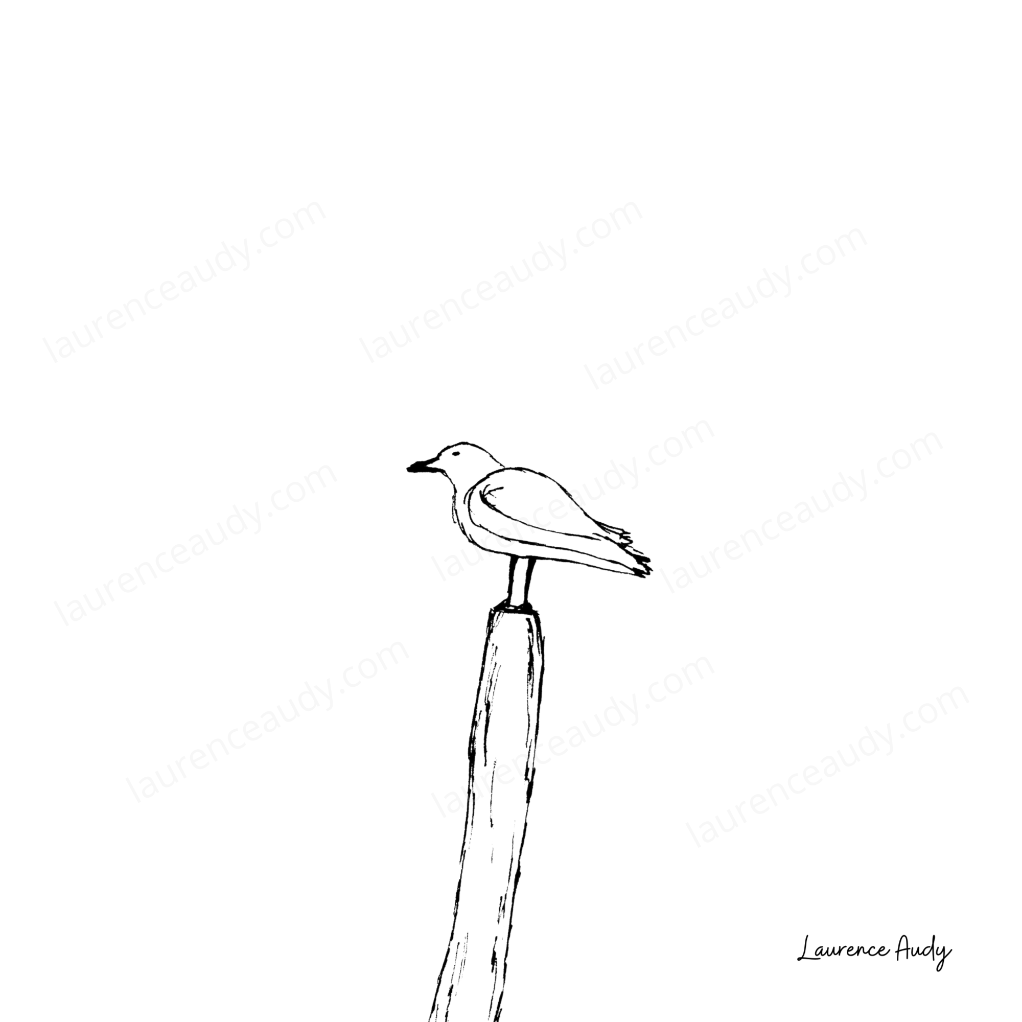 Affiche oiseaux 01 – Image 4