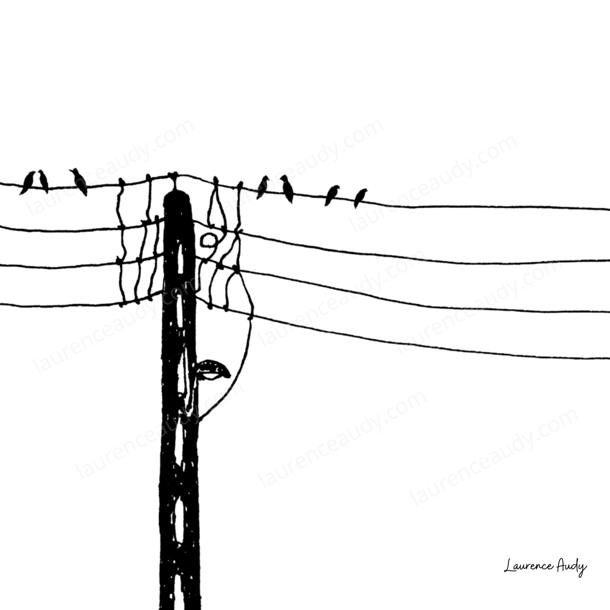 Affiche oiseaux 05 – Image 3
